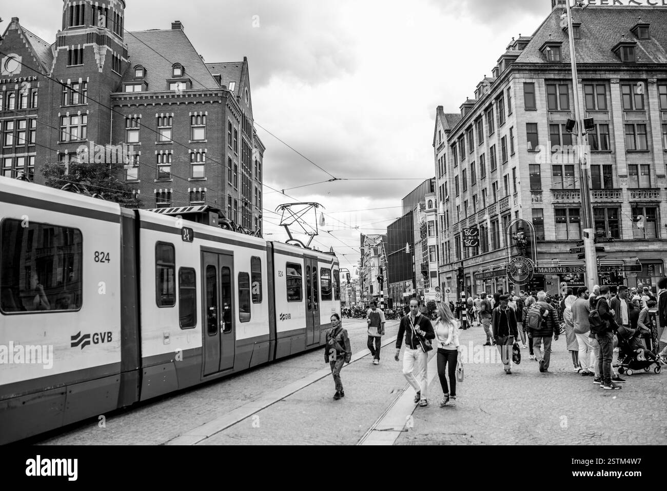 Amsterdam, quartiere rosso, Grand Place, animali e molto altro ancora Foto Stock