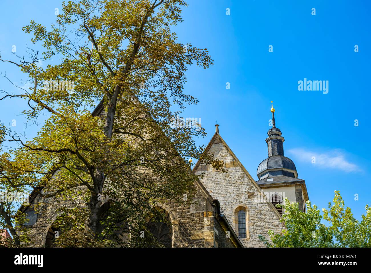 La Reglerkirche, nota anche come Chiesa di Sant'Agostino, si trova nel centro storico di Erfurt, Turingia, Germania. Foto Stock