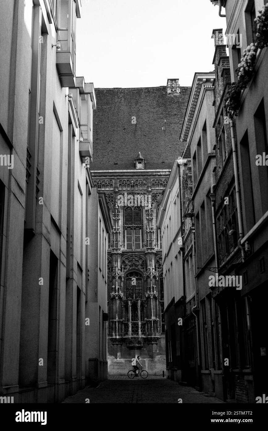 Bruxelles, il cuore dell'Europa, è una città di contrasti tra storia e modernità. Brujas e Gante sono nelle foto. Fotografia di strada Foto Stock