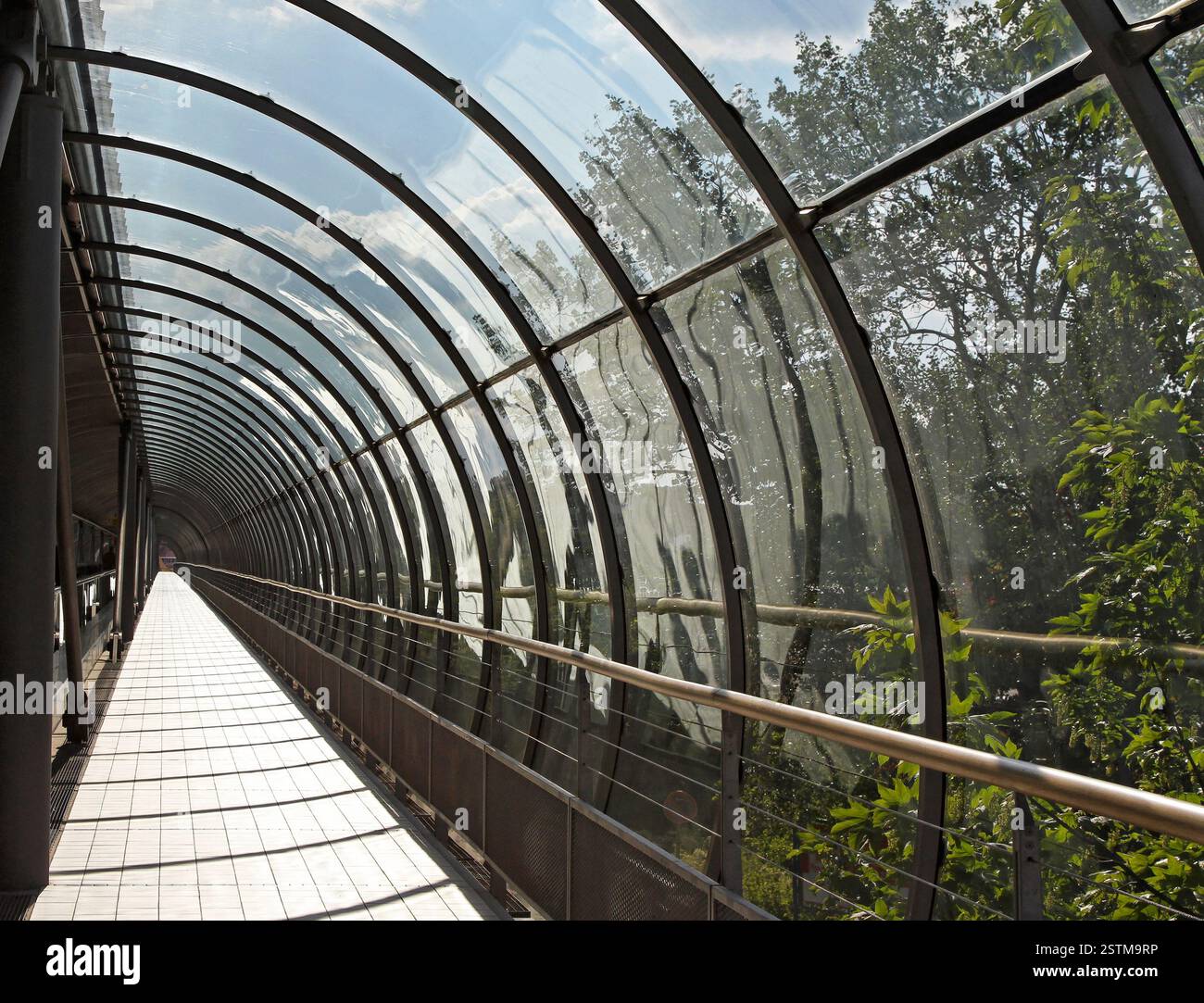 Tunnel di vetro immagini e fotografie stock ad alta risoluzione - Alamy