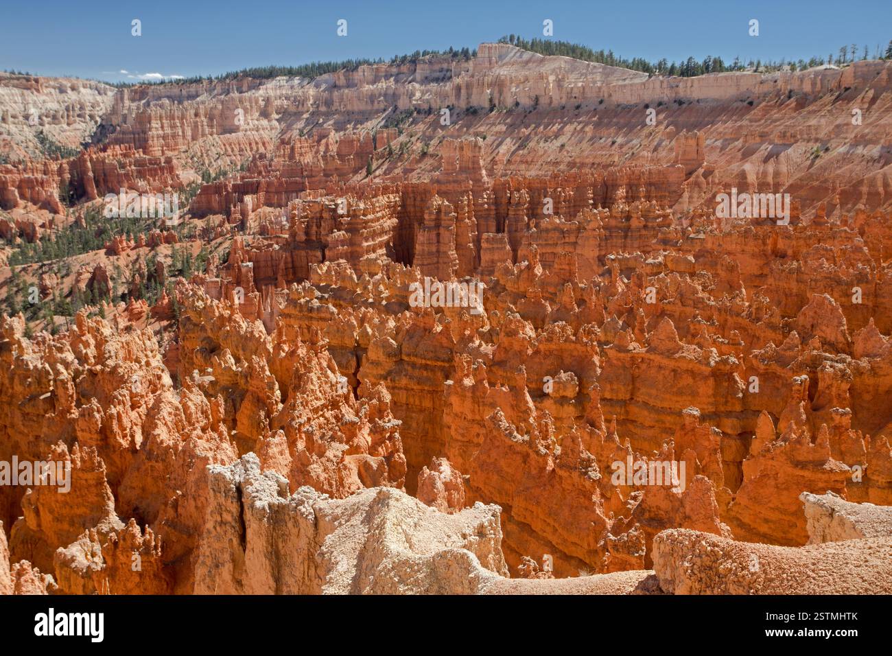 Vista da Sunset Point Foto Stock