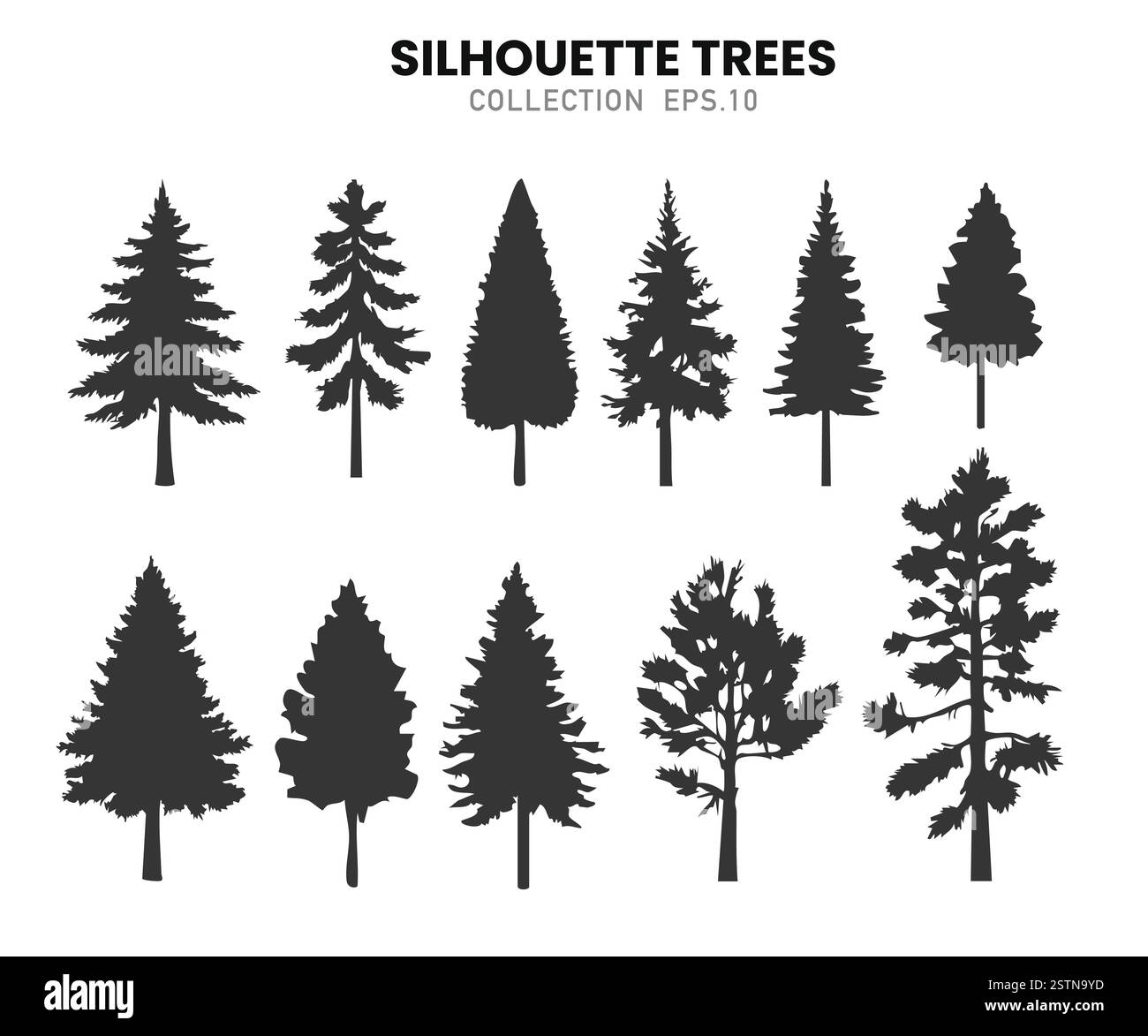 Collezione silhouette pini alberi. Profilo dei pini. Illustrazione vettoriale Illustrazione Vettoriale