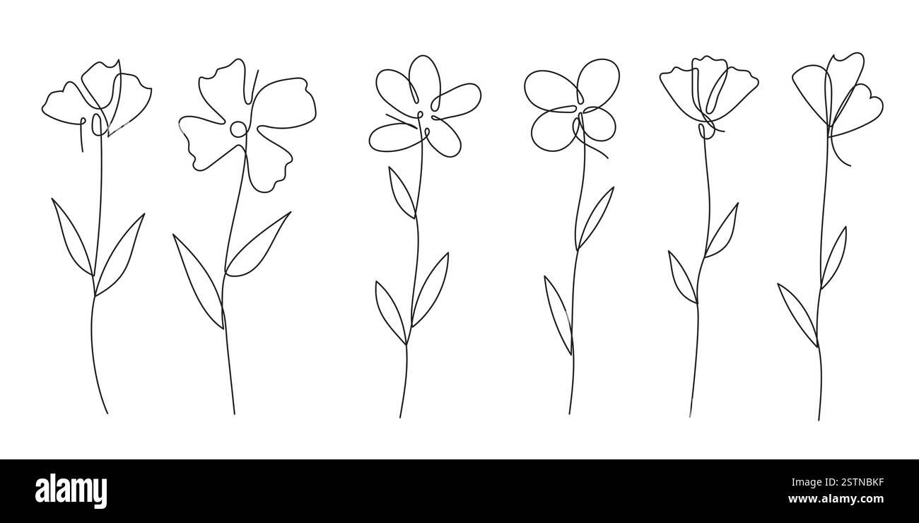 Un set moderno e alla moda di illustrazioni floreali botaniche create in uno stile minimalista a linea singola. Perfetto per il design di logo, la wall art e il conte digitale Illustrazione Vettoriale