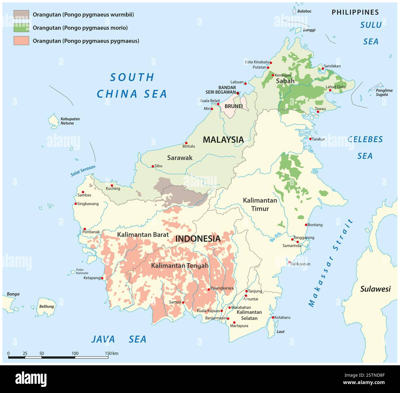Mappa delle aree di distribuzione degli oranghi sull'isola del Borneo Foto Stock
