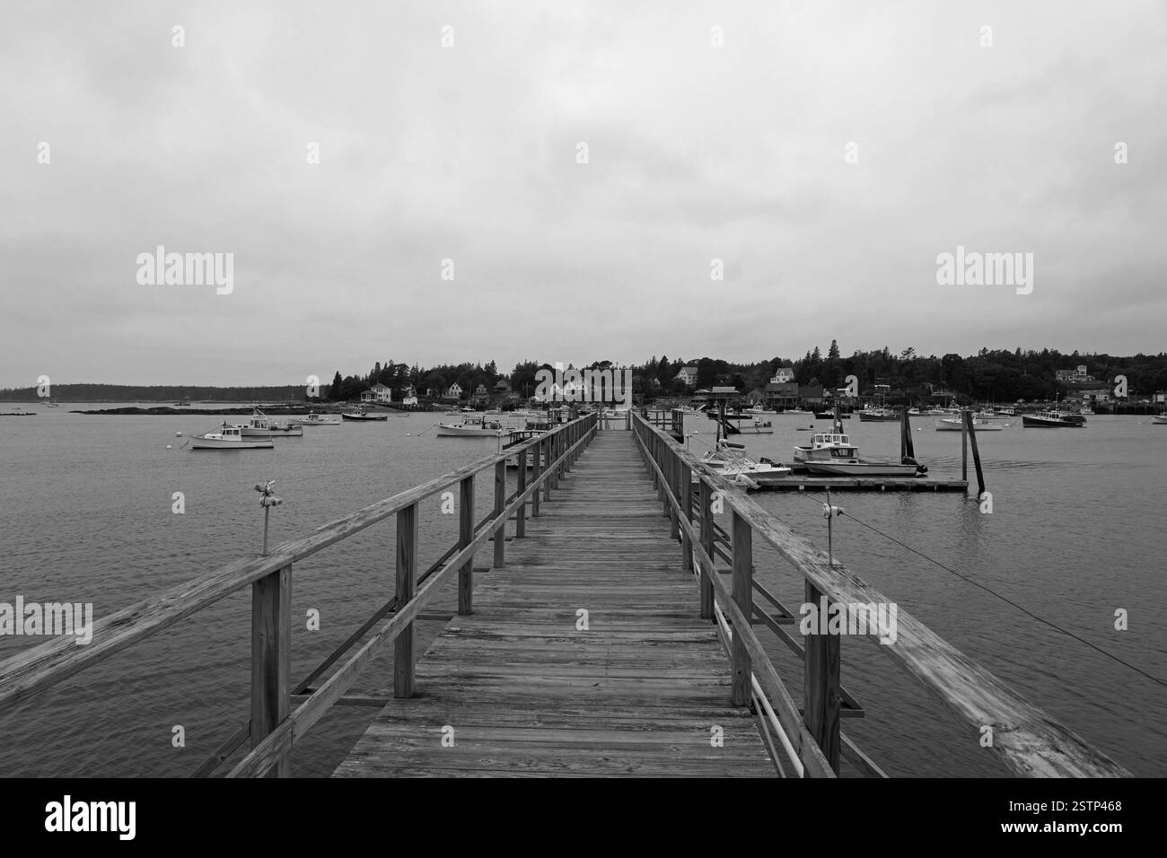 Pesca a Bar Harbor Foto Stock