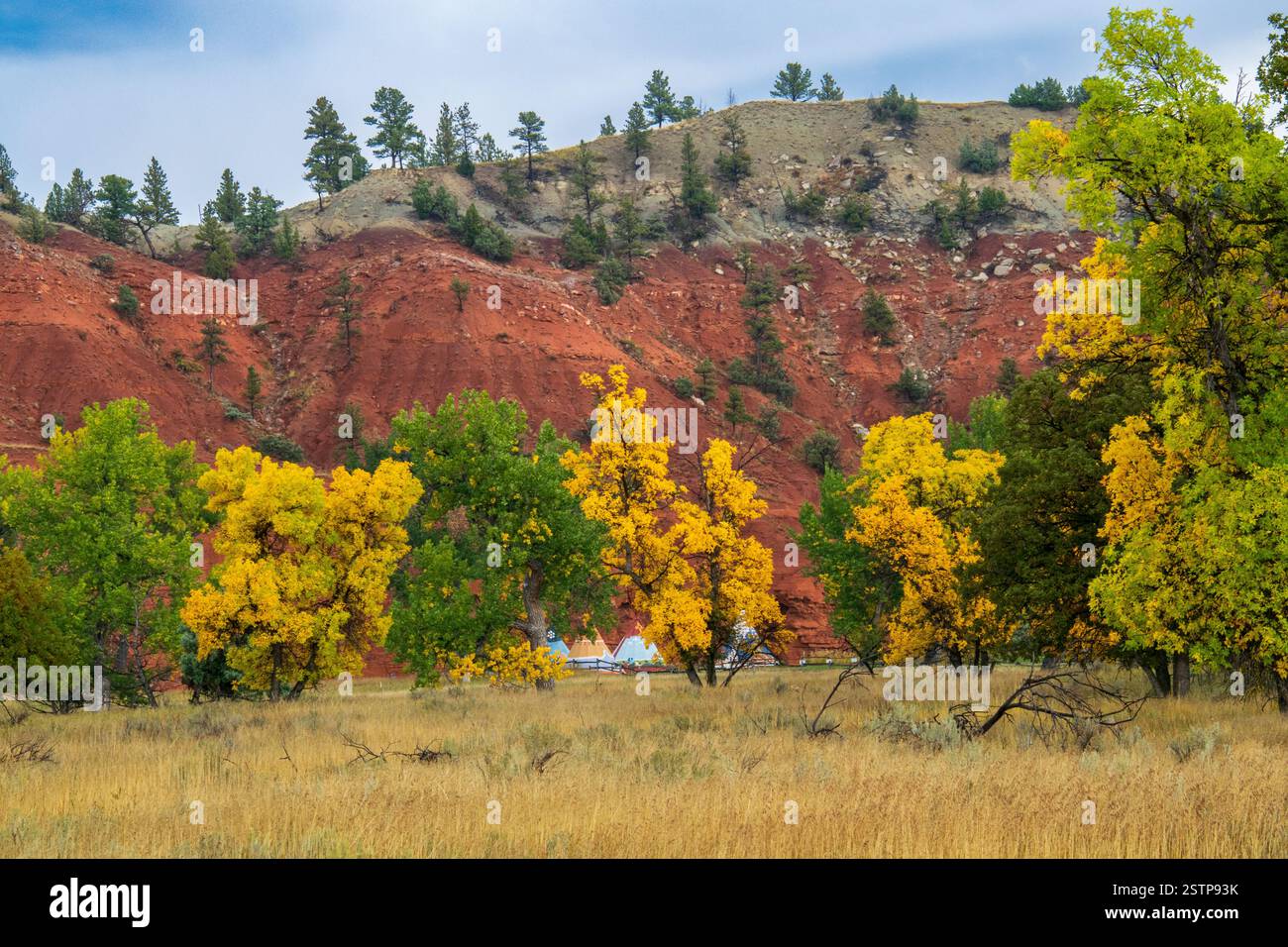 Devils Tower Foto Stock