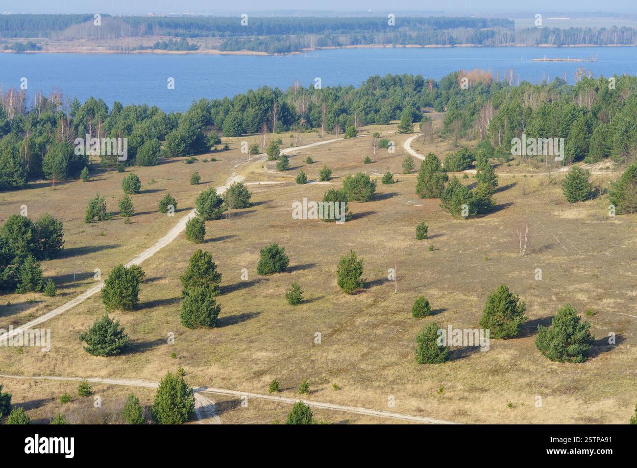 Vista dall'alto su Sedlitzer SEE. I dintorni di Senftenberg. Germania. Stato federale di Branden Foto Stock