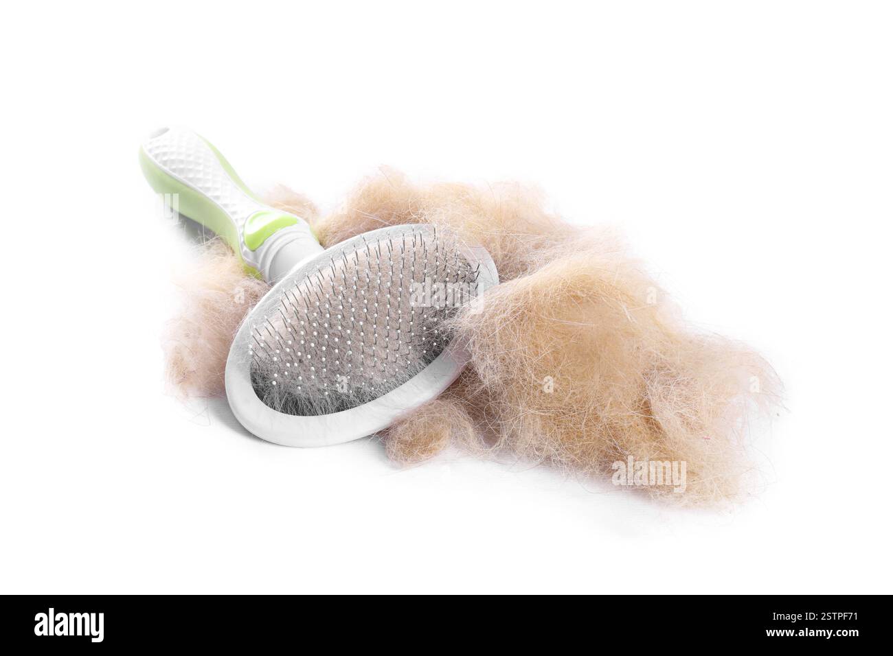 Spazzola per la cura del corpo e mucchio di peli di animali isolati su bianco Foto Stock