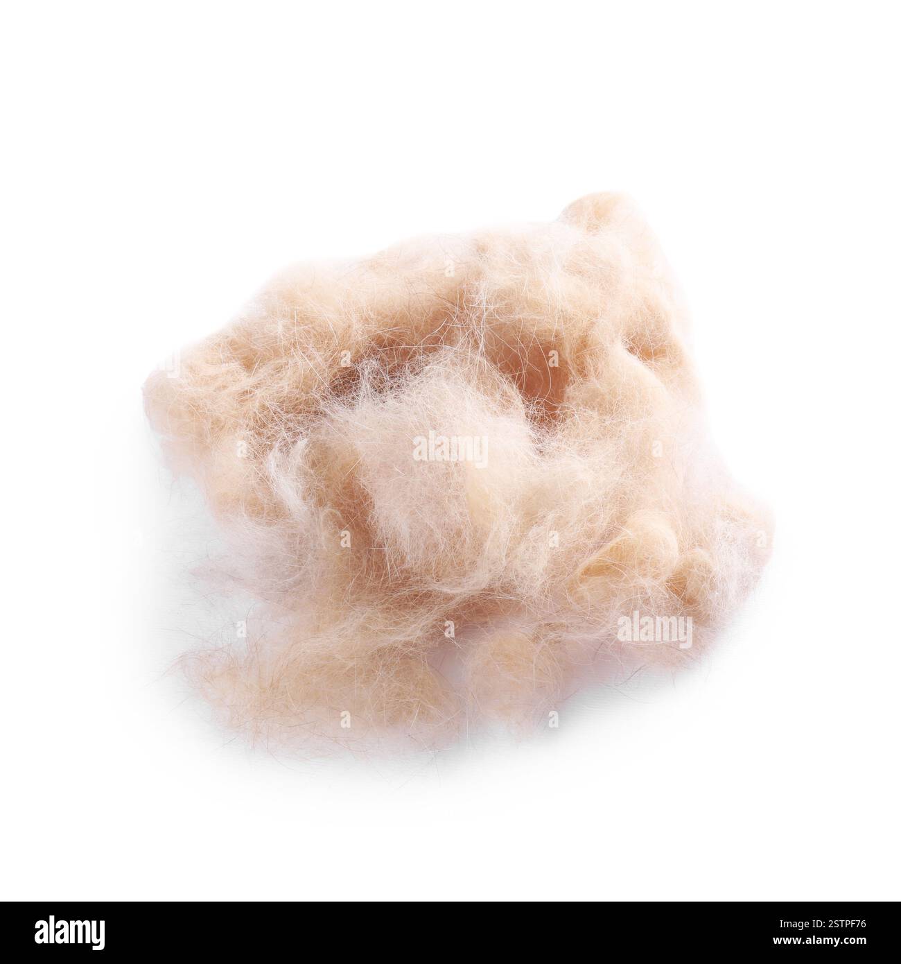 Mucchio di peli di animali domestici isolati sul bianco, sopra la vista Foto Stock