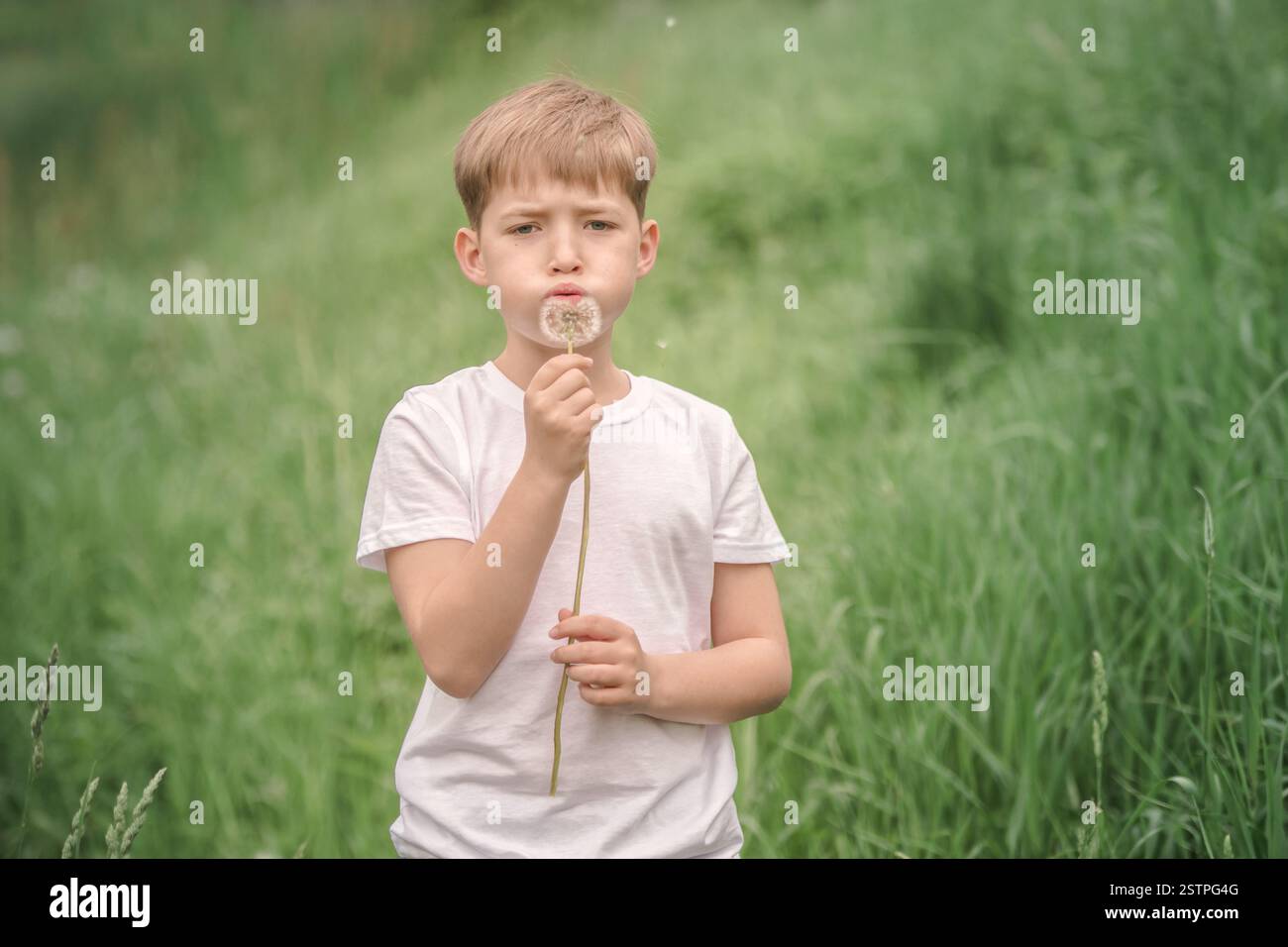 Ritratto di un bel ragazzo con il tarassaco. Foto Stock