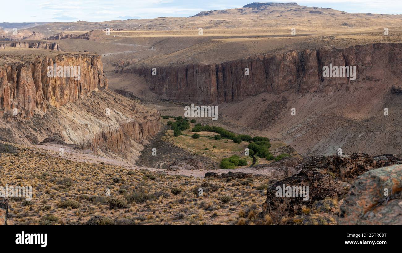 Il Pinturas Canyon nel Parco della Patagonia nella Patagonia meridionale Foto Stock