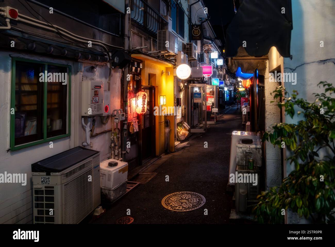 Tokyo, Giappone - 5 agosto 2024: Segni colorati di luoghi in un piccolo vicolo nel quartiere Shinjuku di Tokyo di notte Foto Stock