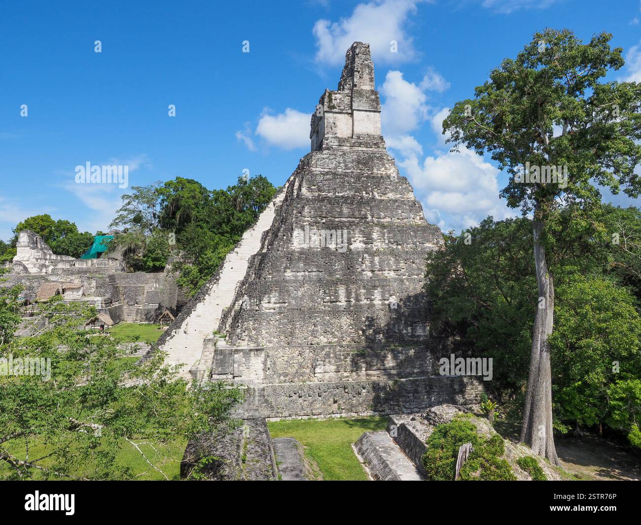 Un tempio Maya a Tikal in una giornata di sole con alberi nella giungla Foto Stock