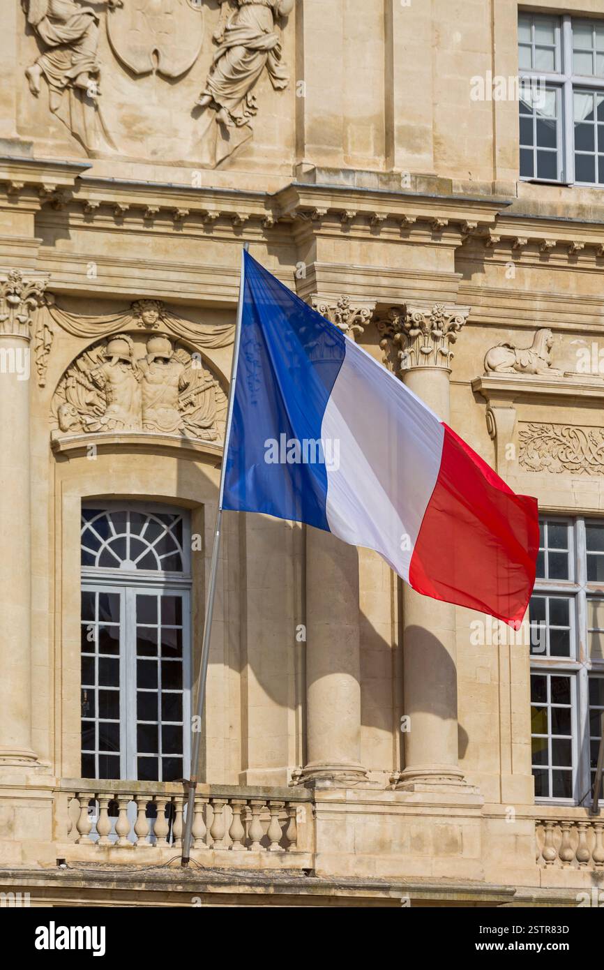 Bandiera della Francia Foto Stock