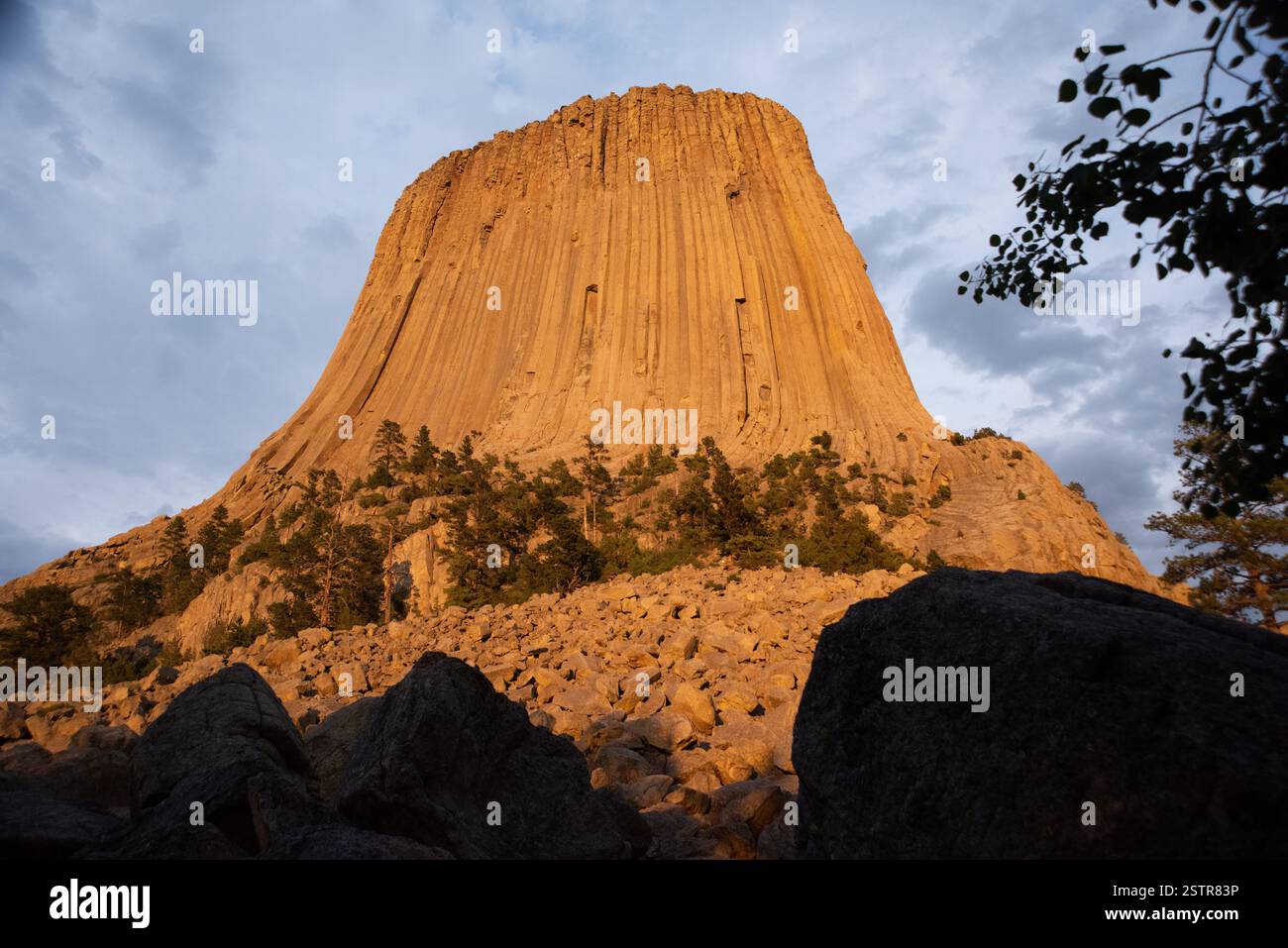 Una splendida vista del monumento nazionale illuminato della Devils Tower nelle Black Hills del Wyoming, che mette in risalto le sue dettagliate formazioni geologiche. Foto Stock