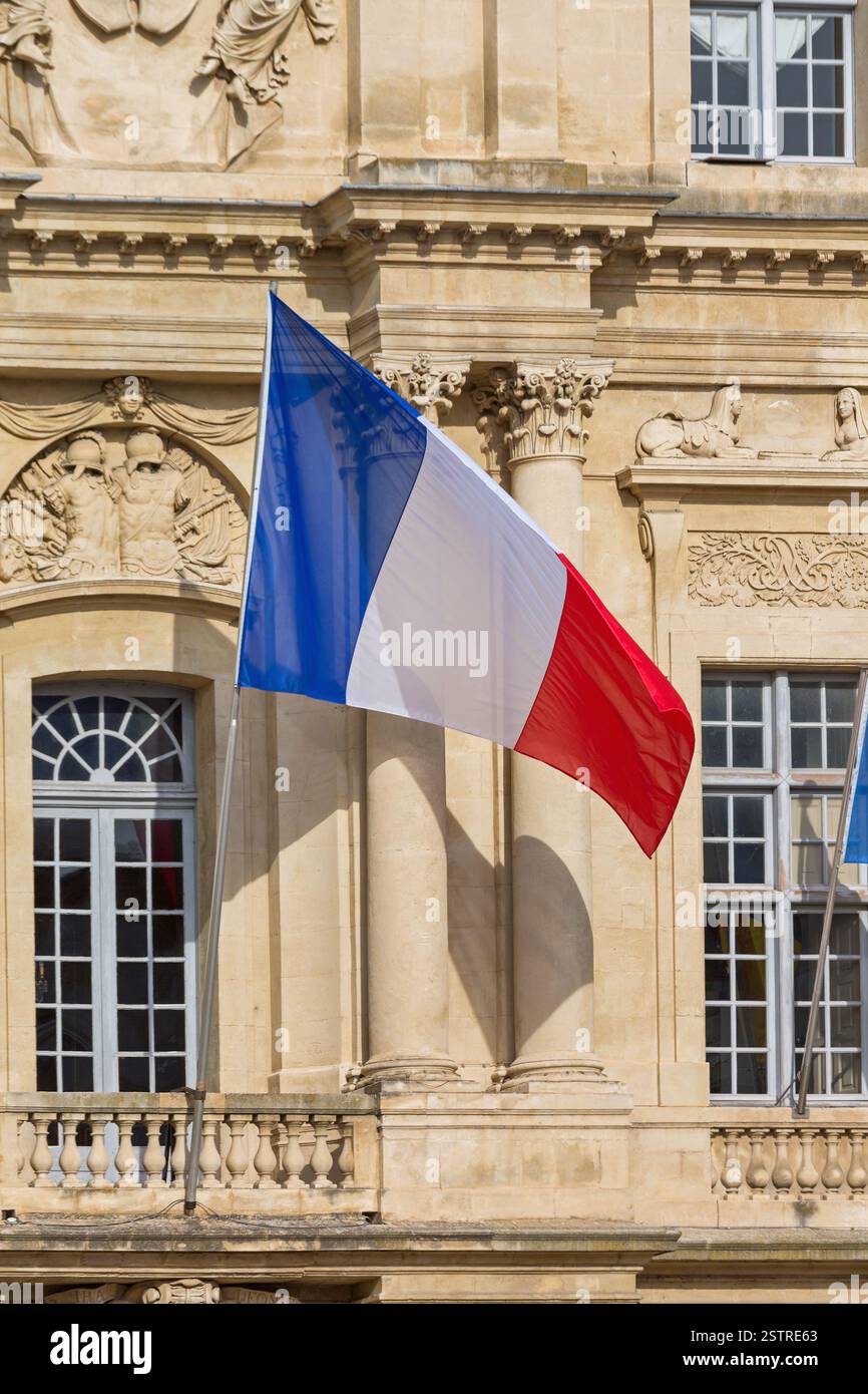 Bandierina della Francia Foto Stock