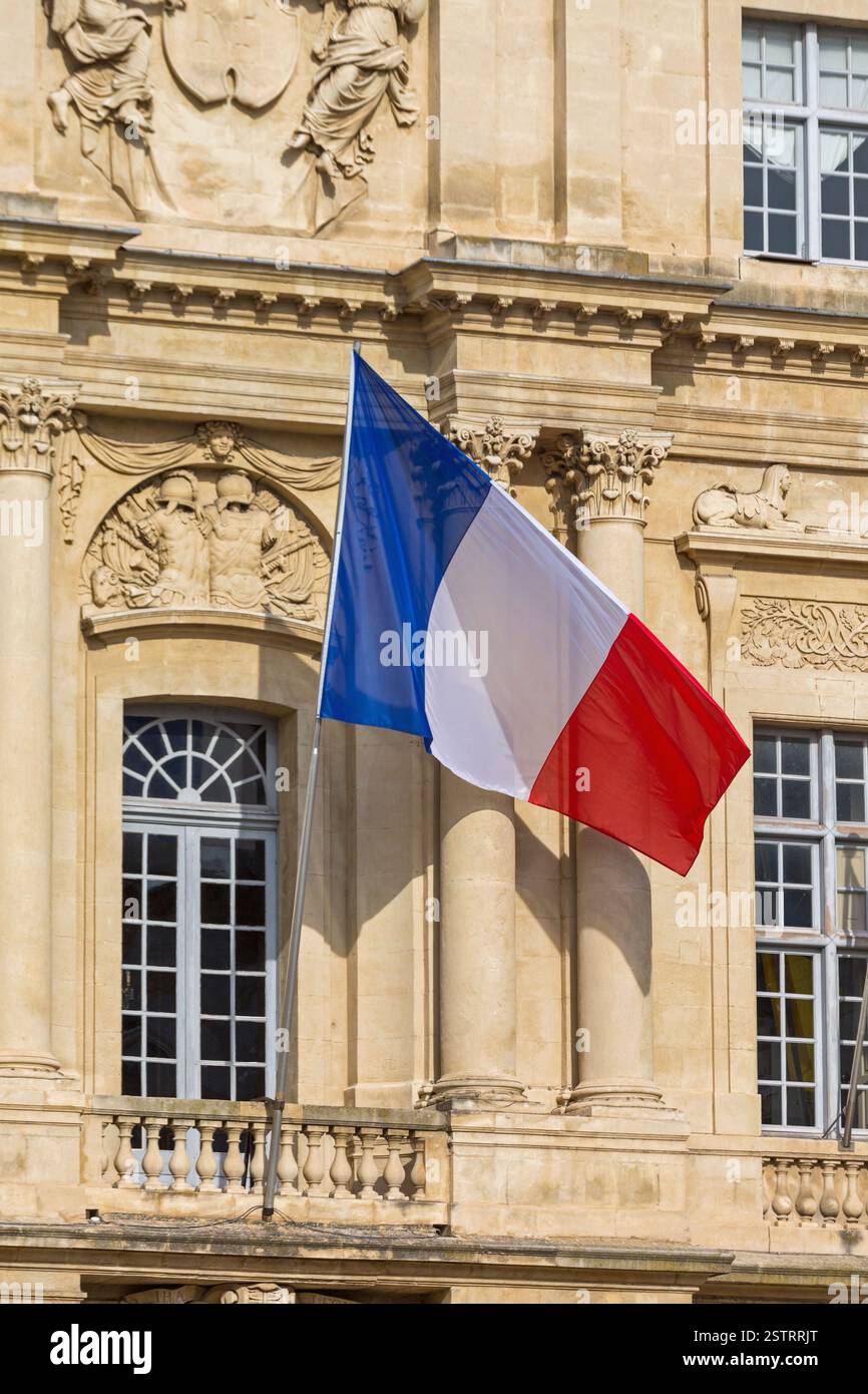 Bandiera tricolore della Francia Foto Stock