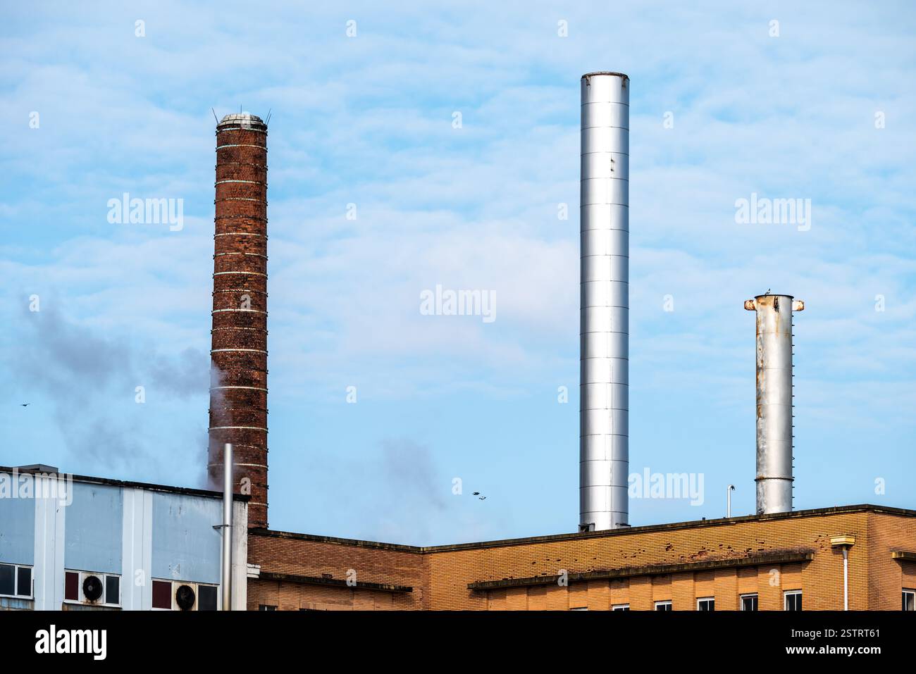 Camini industriali della raffineria di zucchero di Tienen, regione del Brabante fiammingo, Belgio Foto Stock