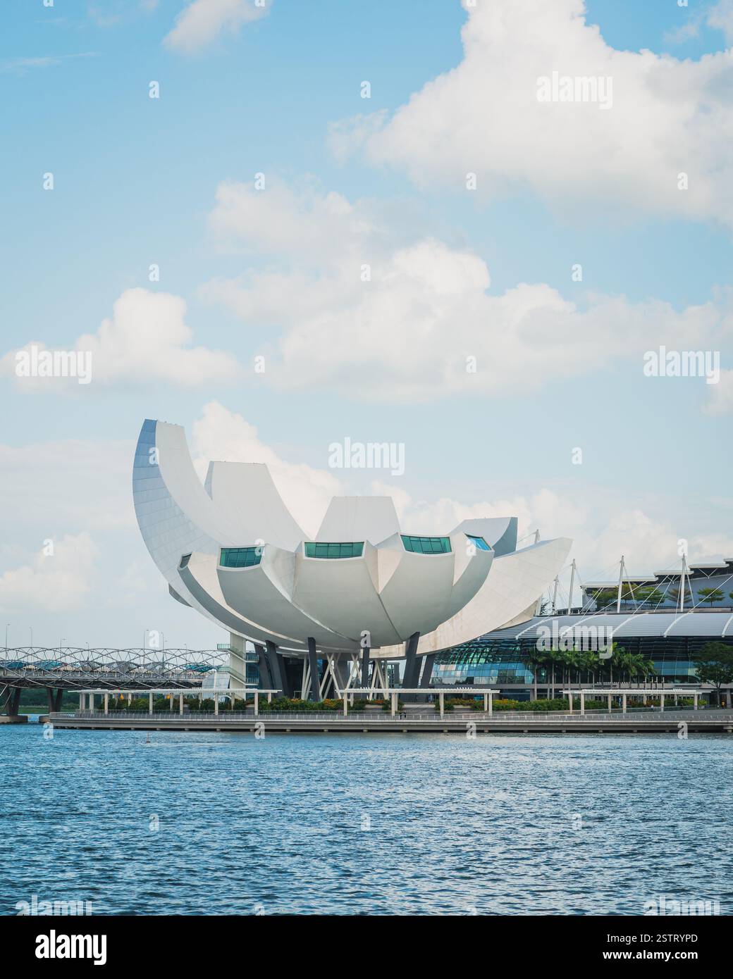 Il Museo ArtScience di Singapore Foto Stock