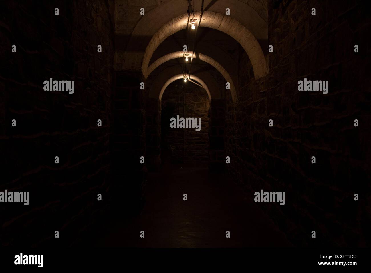 Low Light Cavern ilabrynth nel sottosuolo della Biltmore Mansion nella Carolina del Nord Foto Stock