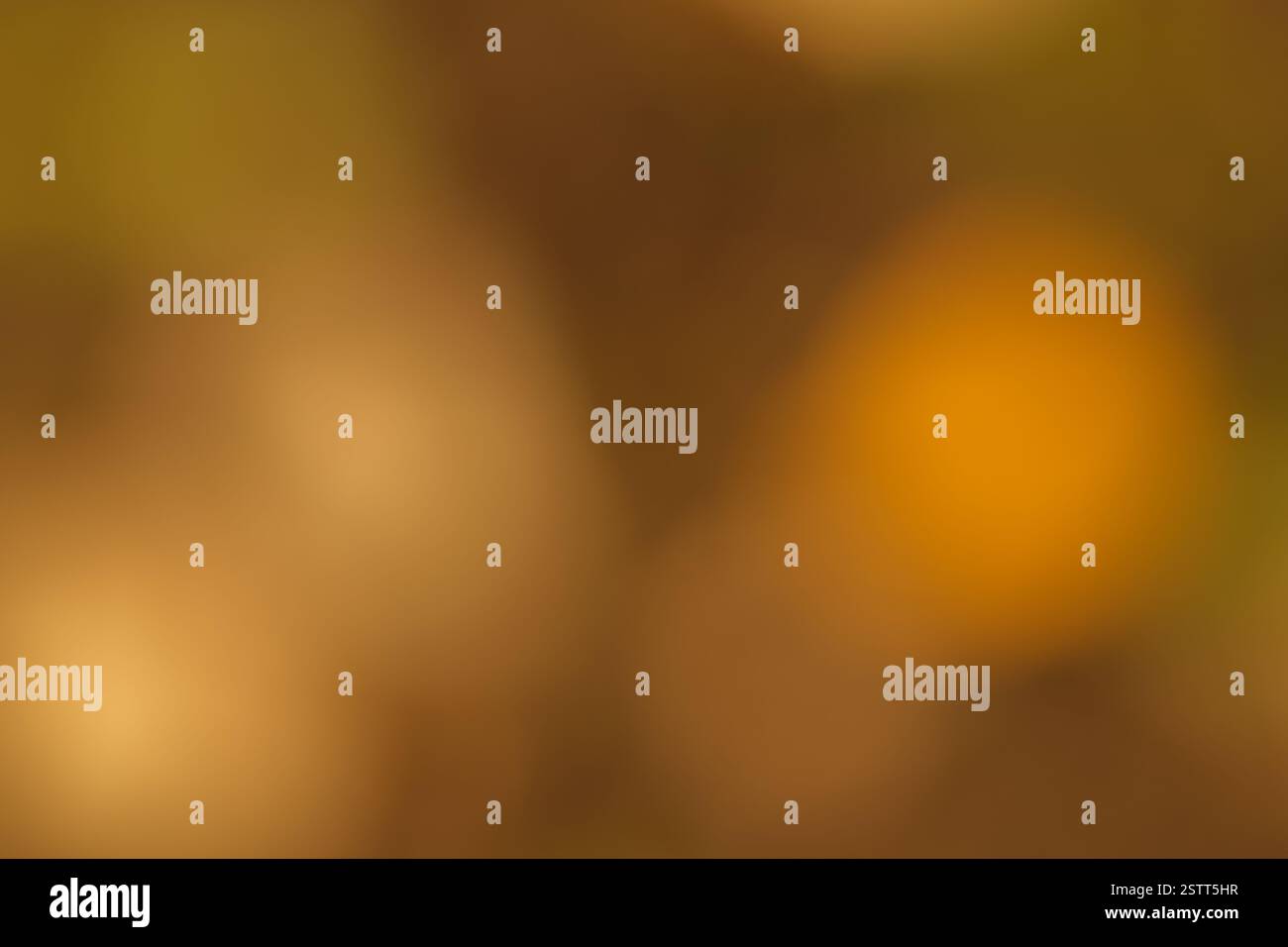 Sfondo sfocato astratto in calde tonalità autunnali di marrone oro e arancione Foto Stock