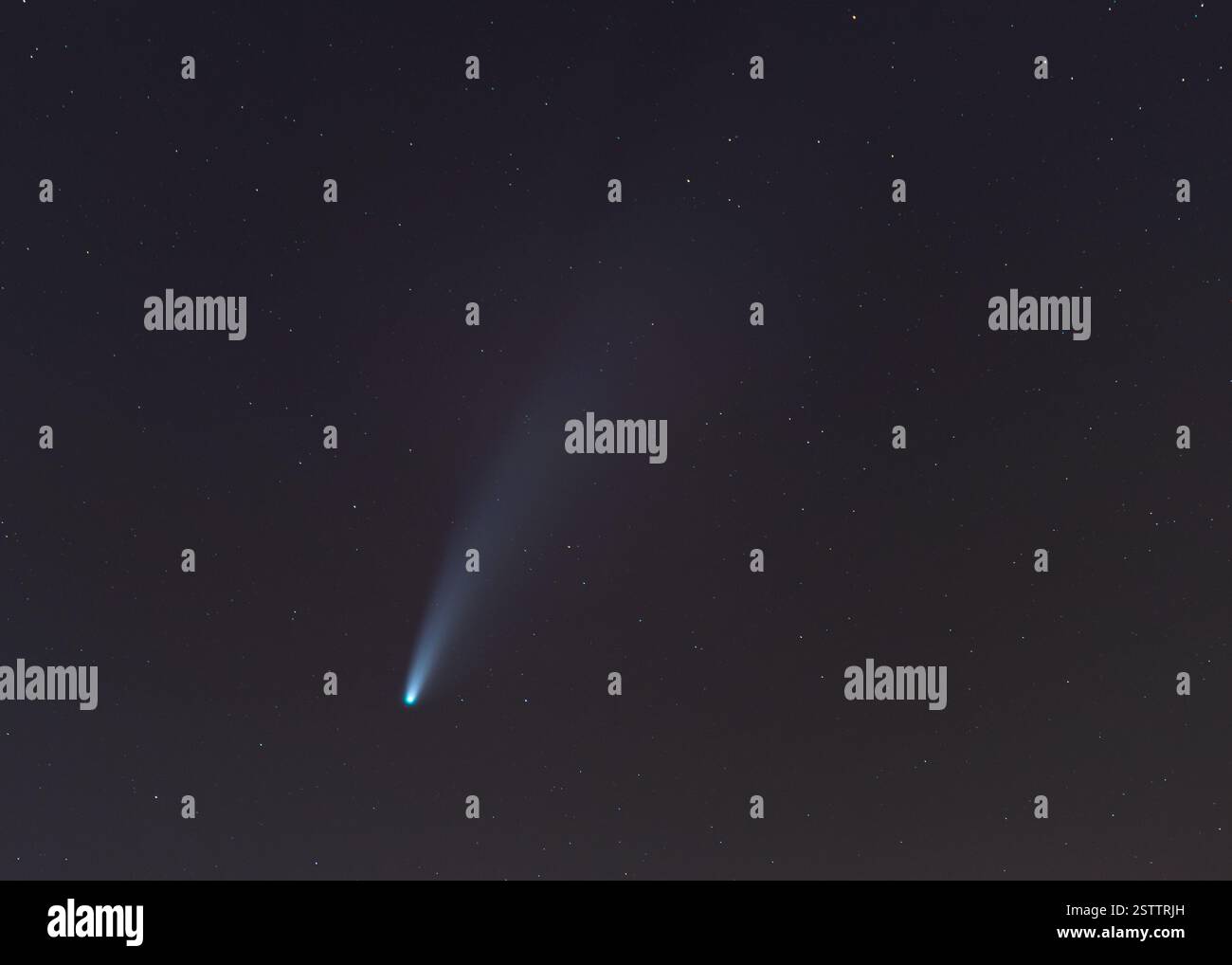 Cometa Neoswise nel cielo notturno Foto Stock