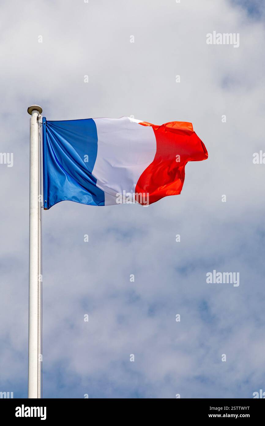 Bandierina della Francia Foto Stock