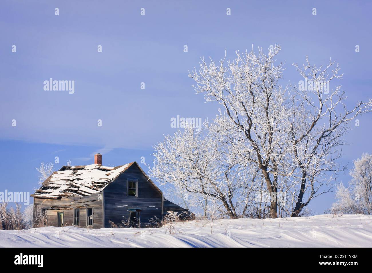 Una piccola casa vecchia si trova in un campo innevato. La casa è circondata da alberi, e la neve è accumulata sul terreno. La scena è tranquilla e tranquilla Foto Stock