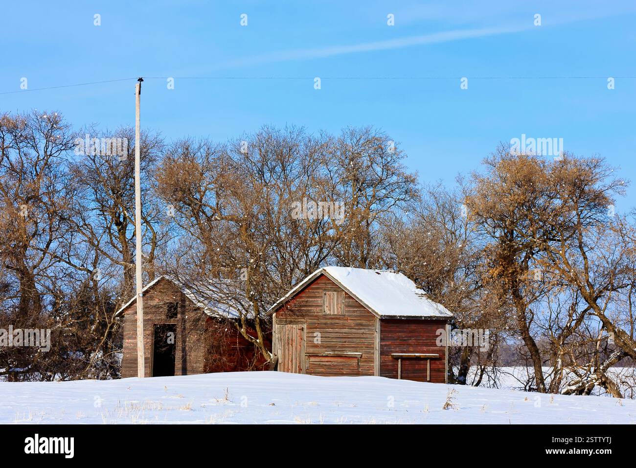 Piccola casa con un fienile e un camino. Il cielo è blu e la neve copre il terreno Foto Stock