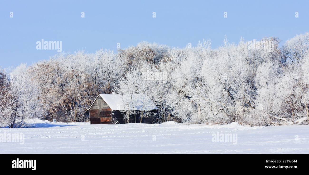 Piccolo e vecchio fienile si trova in un campo innevato. Il fienile è circondato da alberi e la neve è accumulata sul terreno. La scena è tranquilla e serena Foto Stock