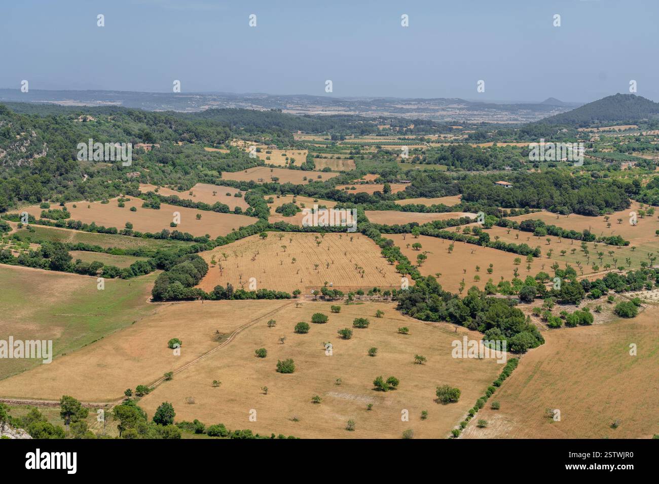 Case per il fine settimana e campi di lavoro ai piedi della Sierra de Galdent Foto Stock