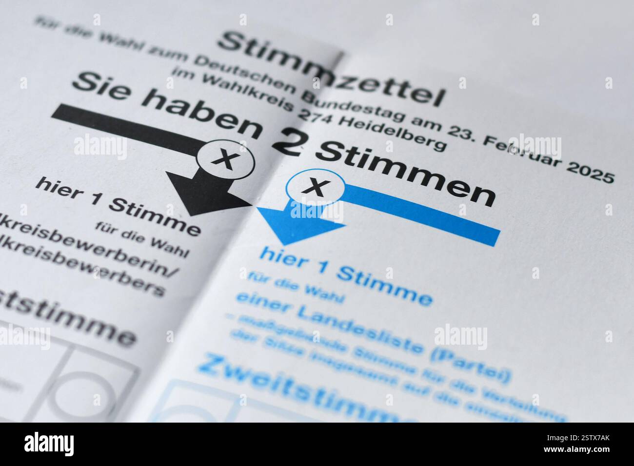 Germania - febbraio 2025: Primo piano delle schede elettorali per le elezioni del parlamento federale tedesco chiamato "Bundestagswahl" Foto Stock