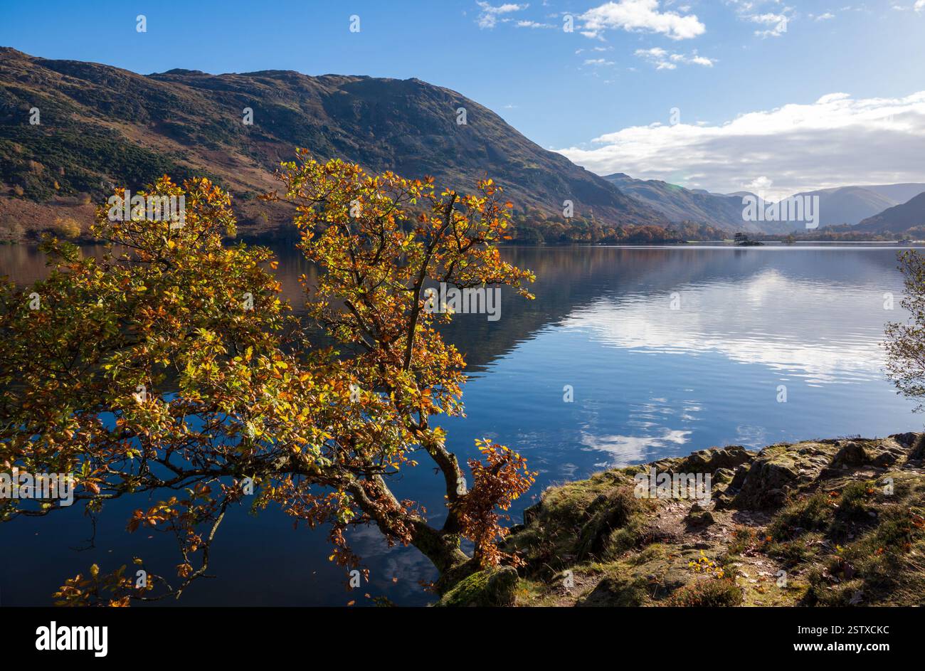 Alberi e riflessi nelle acque calme del lago Ullswater in una giornata di novembre soleggiata, Glenridding, Lake District, Cumbria, Inghilterra, REGNO UNITO. Foto Stock