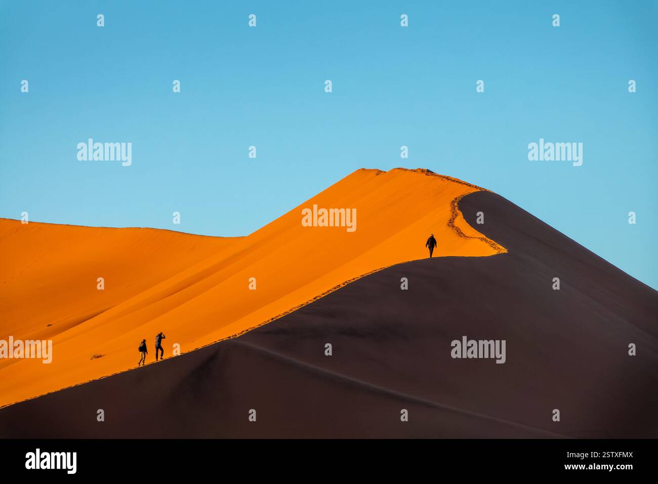 Sagome di persone che scalano la duna di sabbia di Big Daddy all'alba a Sossusvlei, parco nazionale Namib Naukluft, paesaggio panoramico della Namibia, Africa Foto Stock