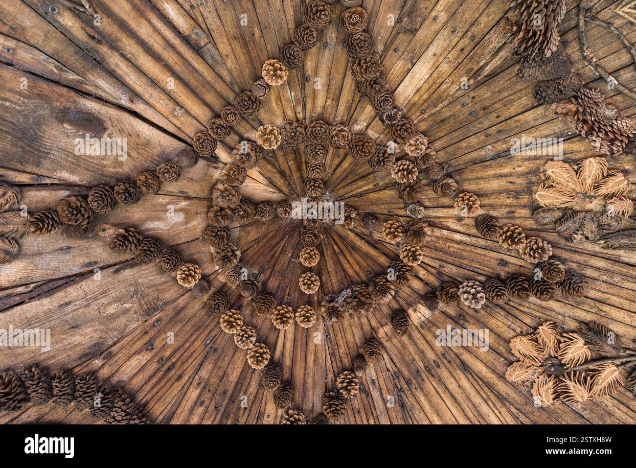 Soffitto in legno decorato con coni di pino, cottage svizzero, giardino svizzero, collezione Shuttleworth, Old Warden, Bedfordshire, Regno Unito Foto Stock