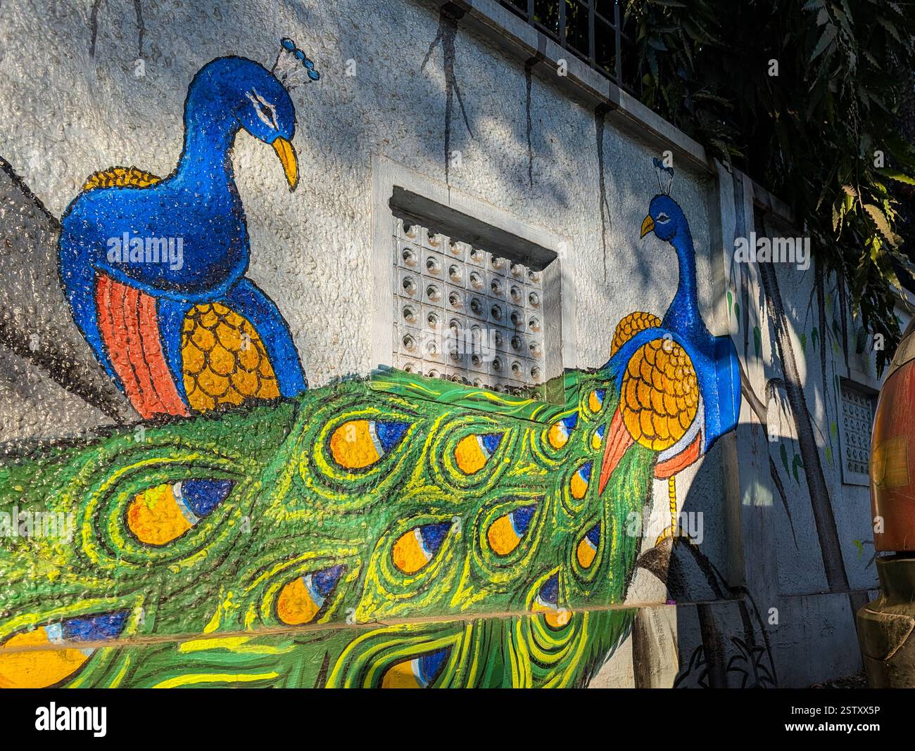 Feb'17th2025 Dehradun Uttarakhand India. Belle e colorate pareti in pavone a Dehradun, Uttarakhand, create da artisti locali per il Clean Dehradu Foto Stock