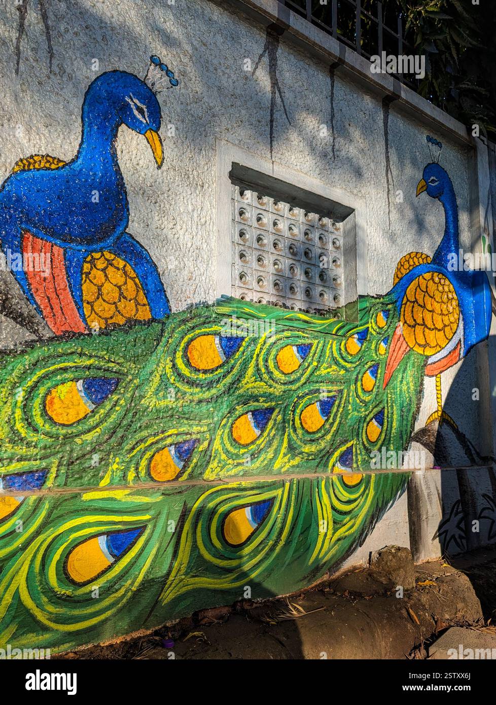 Feb'17th2025 Dehradun Uttarakhand India. Belle e colorate pareti in pavone a Dehradun, Uttarakhand, create da artisti locali per il Clean Dehradu Foto Stock