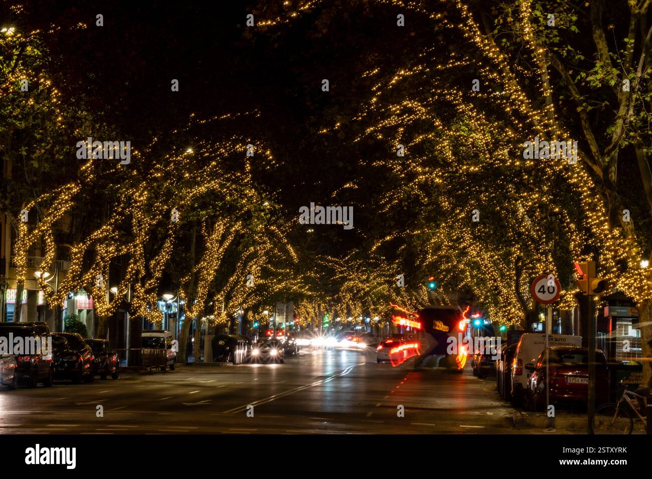 Alberi con illuminazione natalizia Foto Stock