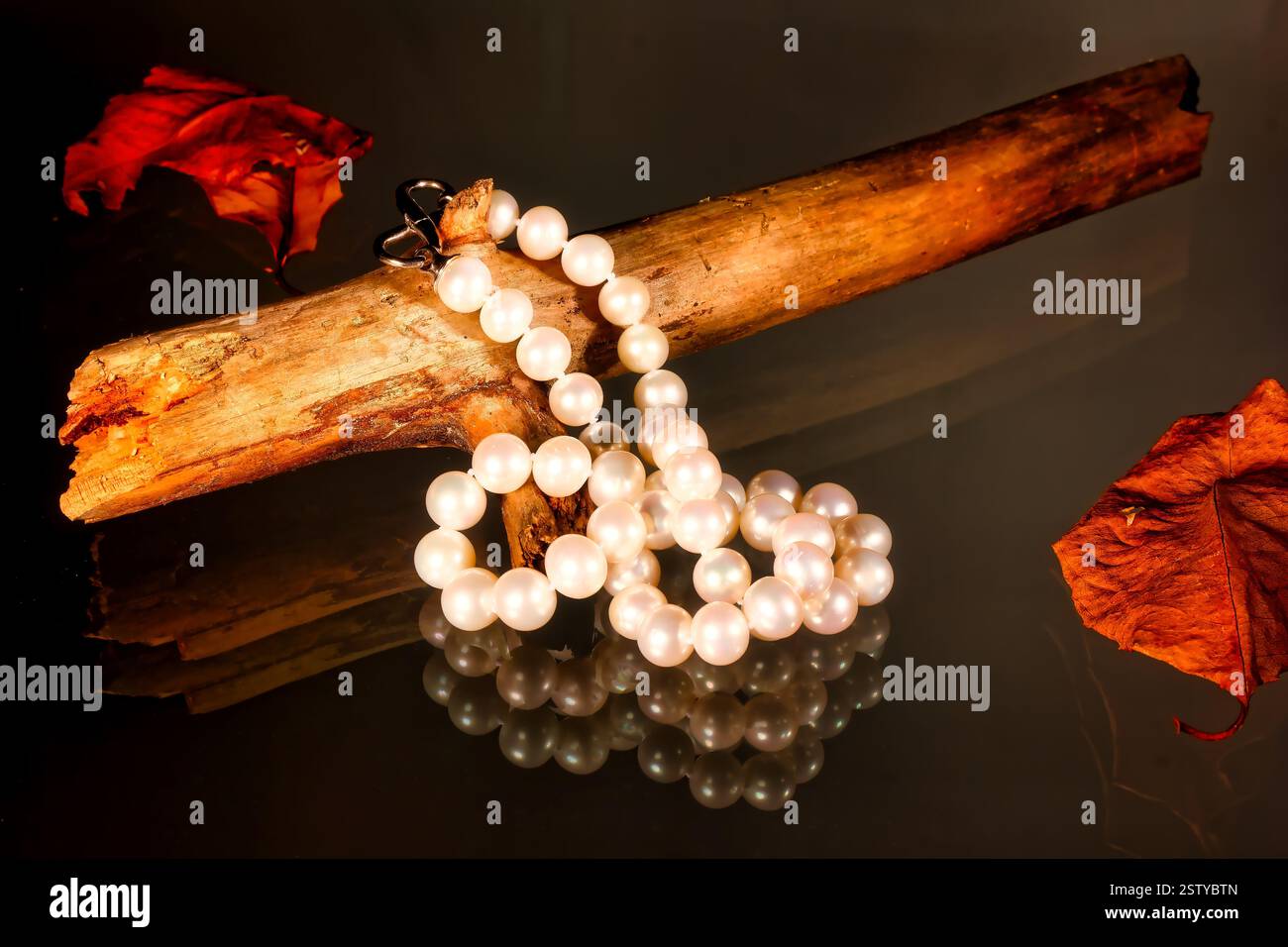 Collana decorativa di perle su un ramo in legno con riflessi in lastra di vetro, primo piano Foto Stock