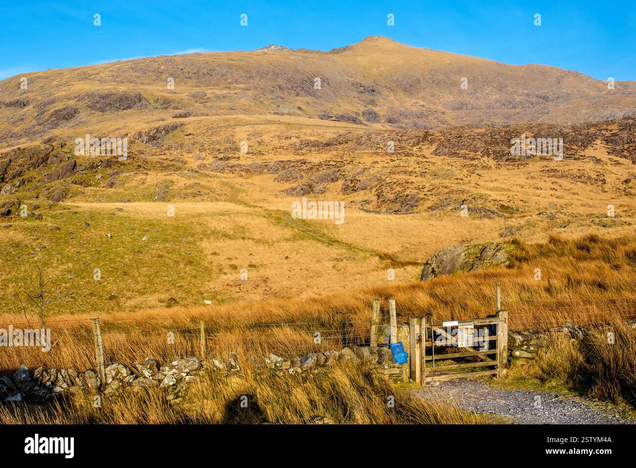 Il sentiero Rhyd DDU attraverso la cresta sud di Snowdon / Yr Wyddfa a Eryri / Parco Nazionale di Snowdonia Foto Stock