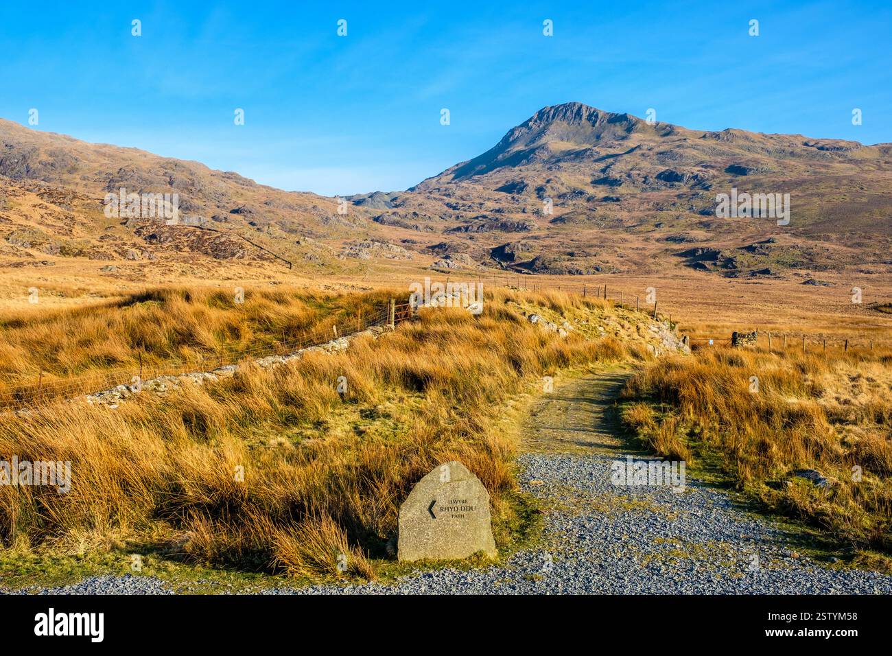 YR Aran dal sentiero Rhyd DDU, Eryri / Snowdonia National Park, Galles, Regno Unito Foto Stock