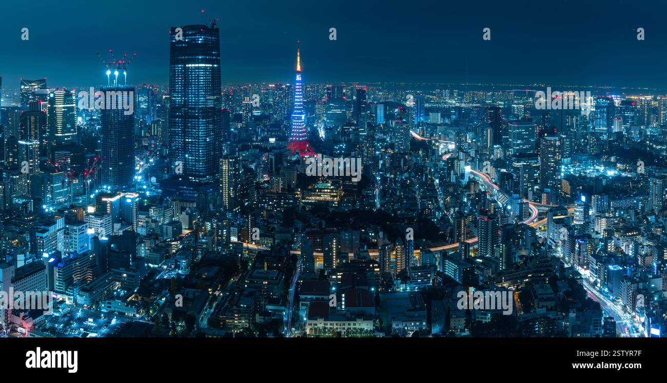 La vista notturna di Tokyo e la Tokyo Tower illuminata dalla piattaforma di osservazione delle colline Roppongi a Minato-ku, Tokyo, Giappone Foto Stock