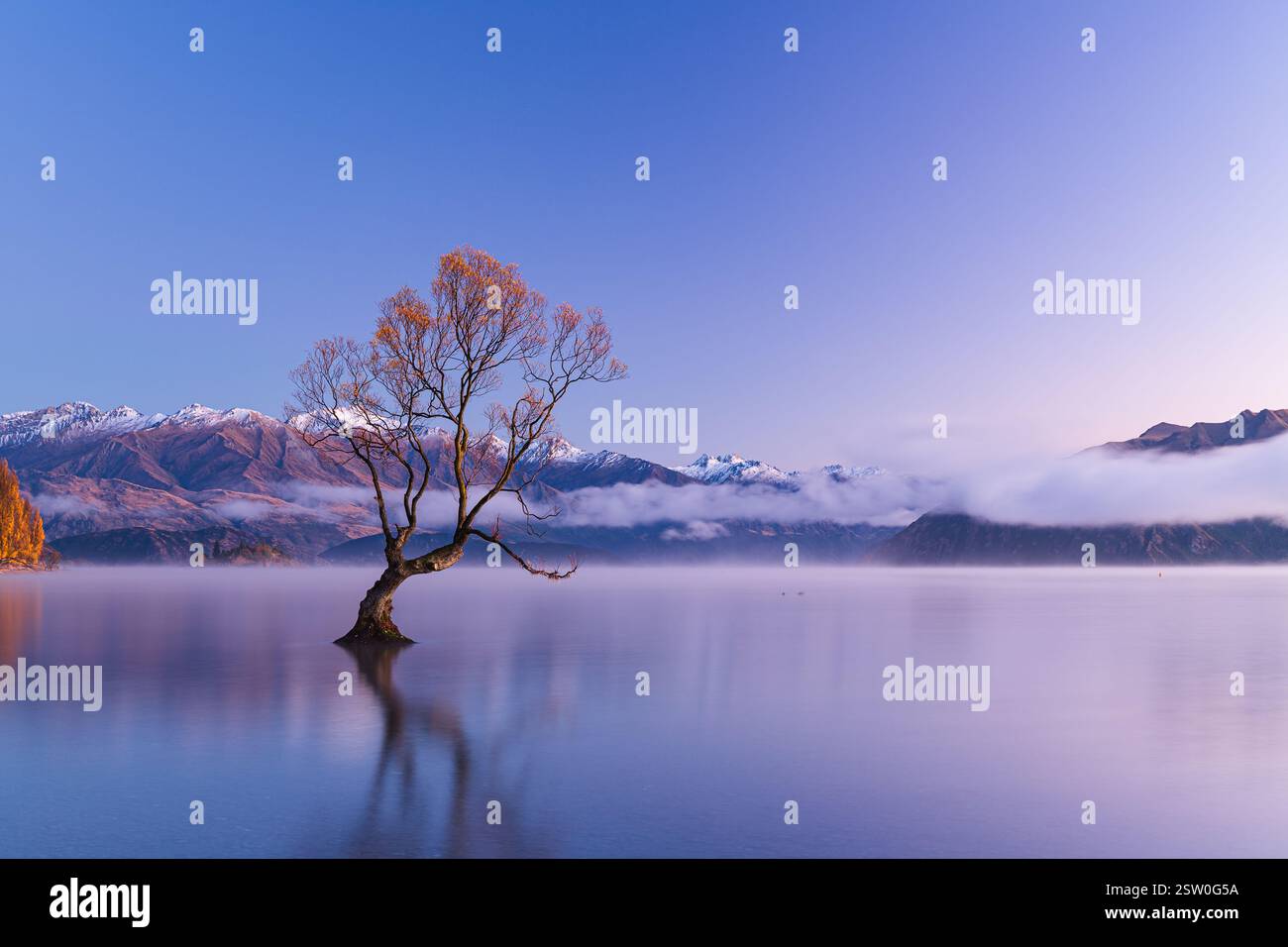 L'albero di Wanaka nel lago Wanaka nella regione di Otago in nuova Zelanda e le Alpi meridionali dietro di esso Foto Stock