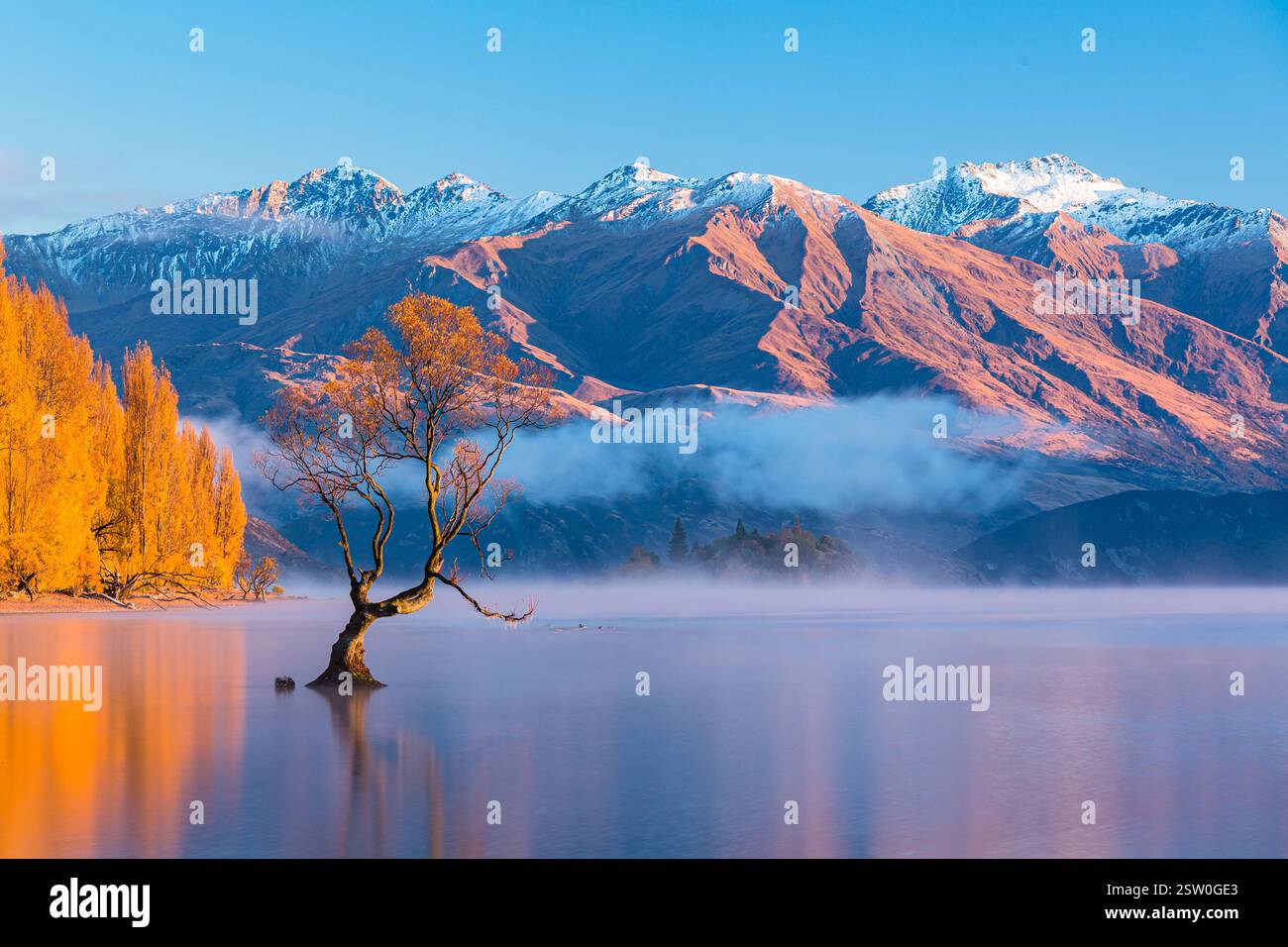L'albero di Wanaka nel lago Wanaka nella regione di Otago in nuova Zelanda e le Alpi meridionali dietro di esso Foto Stock