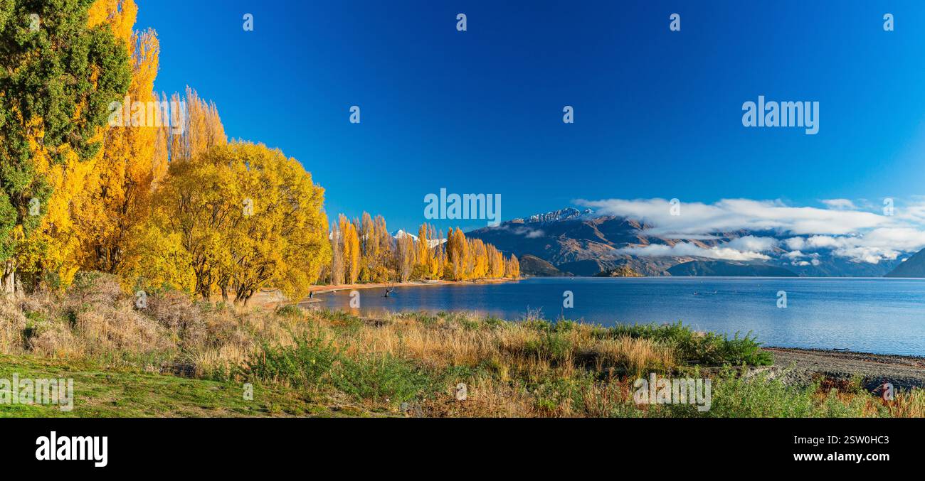 Paesaggi e alberi tinti di giallo dalle foglie autunnali del lago Wanaka nella regione di Otago, nuova Zelanda Foto Stock