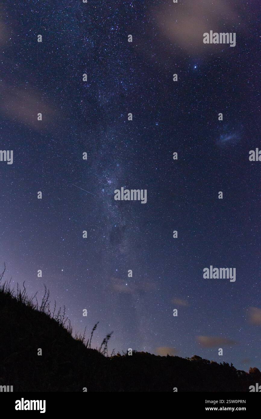 Cielo stellato visto alla Gannet Colony sulla spiaggia di Muriwai vicino ad Auckland, nuova Zelanda Foto Stock