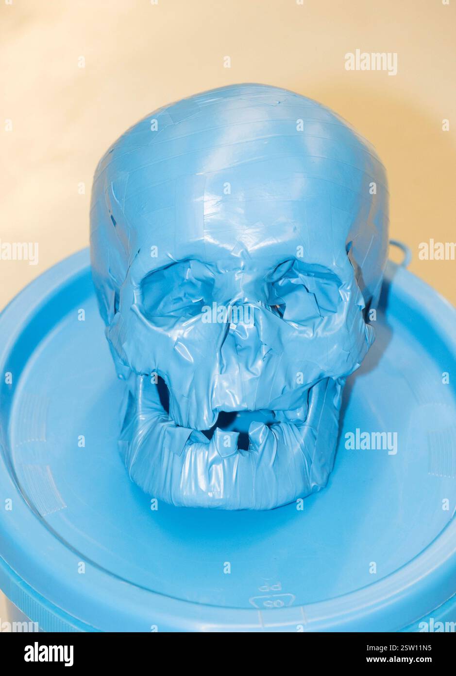 un cranio, simbolo delle ossa di una testa umana, un cranio, una testa di un umano Foto Stock