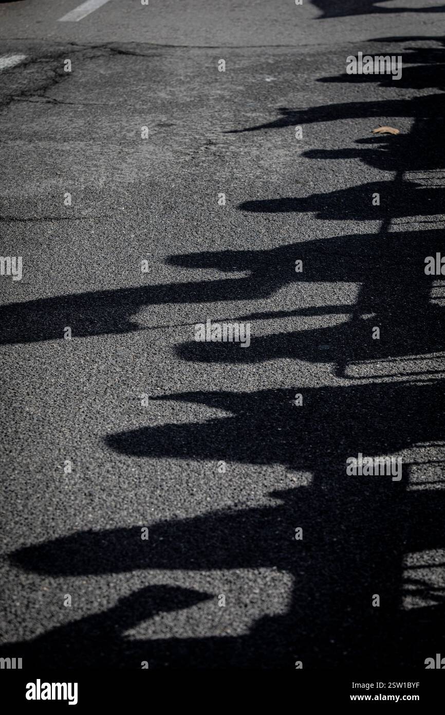 Tel Aviv, 20 febbraio 2025. Ombre di israeliani in attesa del convoglio che trasporta i corpi degli ostaggi israeliani fuori dal Centro Nazionale di Medicina legale Abu Kabir a Tel Aviv giovedì 20 febbraio 2025. Hamas ha rilasciato giovedì i corpi di quattro ostaggi israeliani, i resti si diceva fossero di Shiri Bibas e dei suoi due figli, Ariel e Kfir, così come di Oded Lifshitz, che aveva 83 anni quando è stato rapito. Hamas ha detto che tutti e quattro sono stati uccisi insieme alle loro guardie in un attacco aereo israeliano. Foto di Eyal Warshavsky. Foto Stock