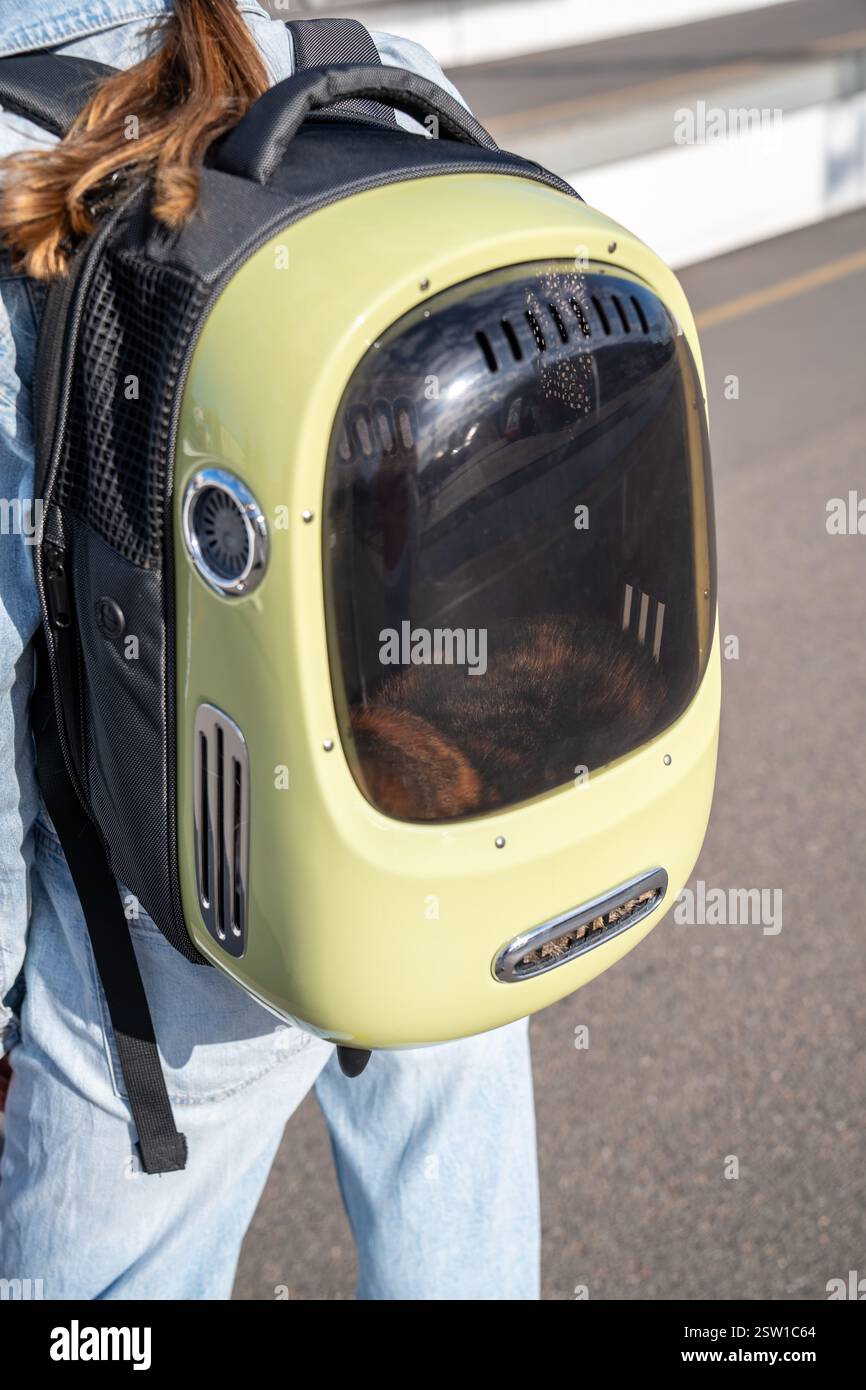 Comodo trasportino per animali domestici, zaino con finestra con sistema di ventilazione naturale e powerbank opzionale Foto Stock