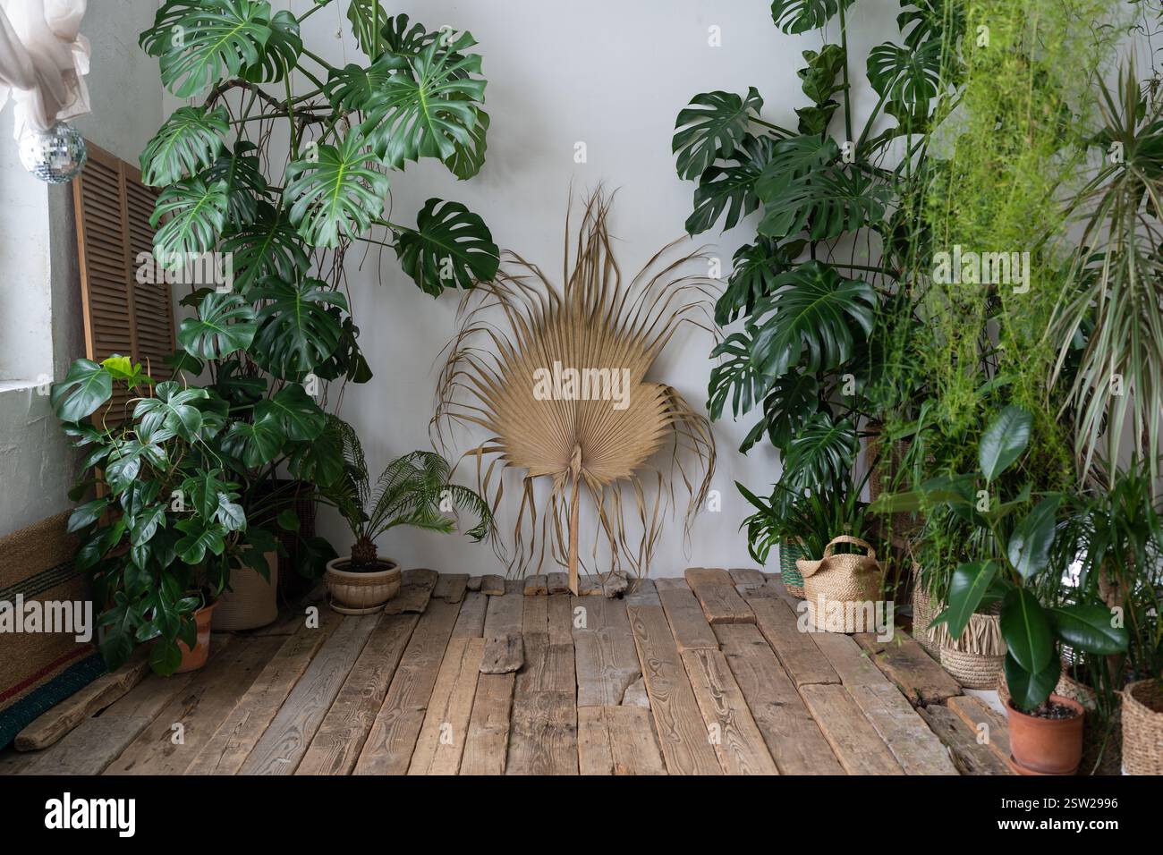 Giardino in stile boho. Design interno scandinavo di giardino interno con piante da casa Foto Stock